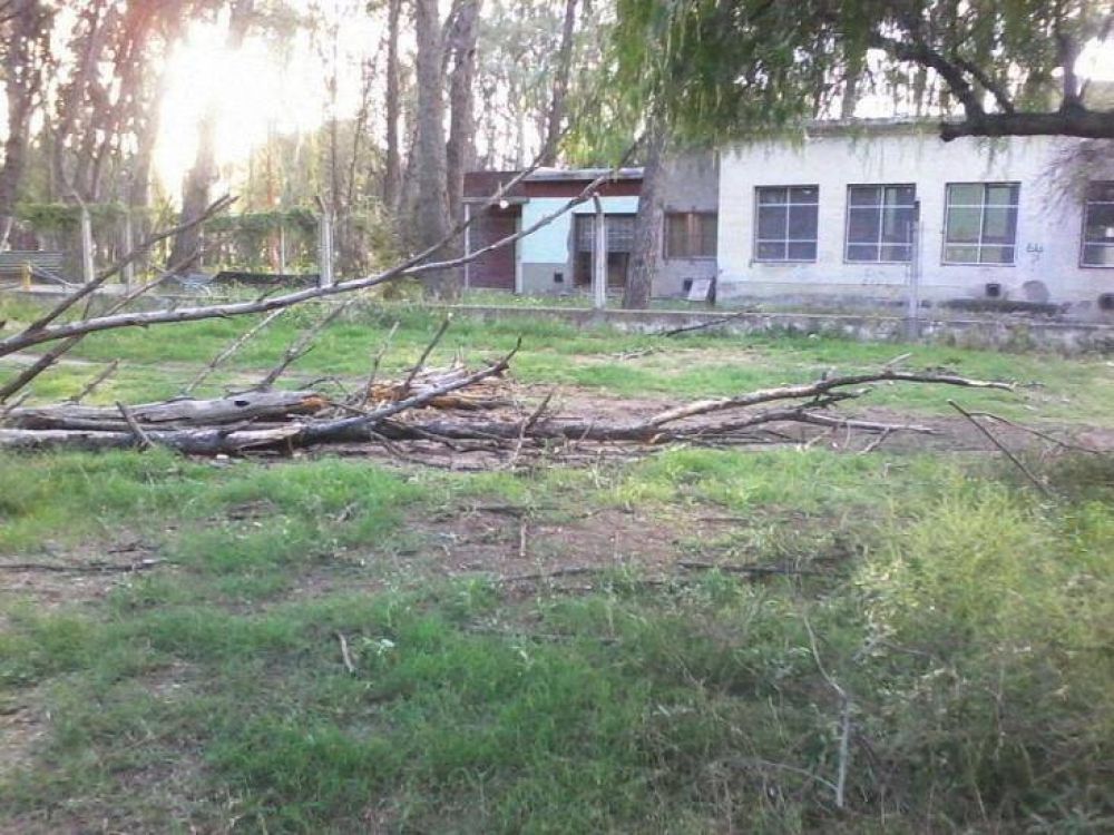 Caso Daiana: dura carta de la UCR al intendente Bevilacqua