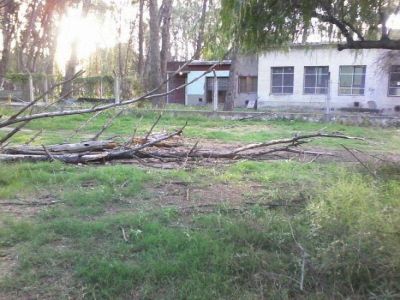 Caso Daiana: dura carta de la UCR al intendente Bevilacqua