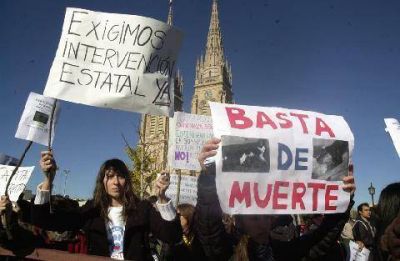 Envenenamiento de perros: la Comuna investiga cu�l es la sustancia utilizada