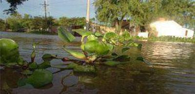 El R�o Paran� lleg� a 4,75 en Santa Fe 