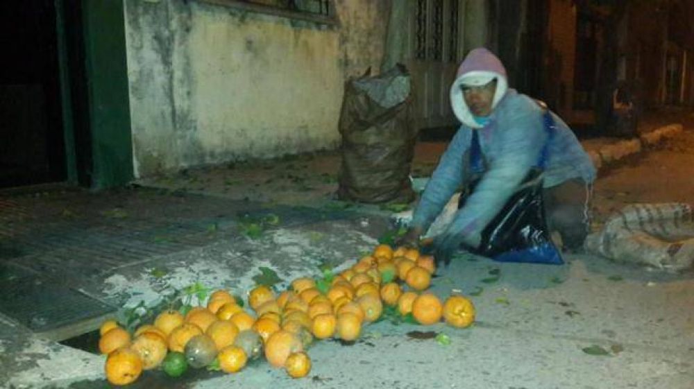 De madrugada, los 5.200 naranjos de la ciudad se van desnudando