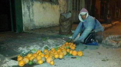 De madrugada, los 5.200 naranjos de la ciudad se van desnudando