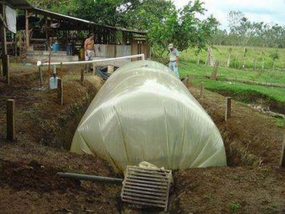 Medio Ambiente presentar� un plan de bioenerg�a al sector industrial