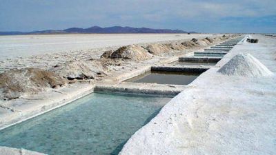 Est�n vigentes las exenciones para los peque�os mineros