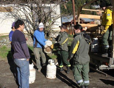 Cronograma de entrega de garrafa social
