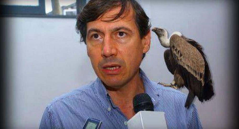 Buitres aut�ctonos