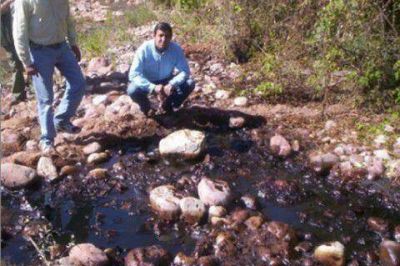 Contin�a la grave situaci�n en el Parque Nacional Calileg�a