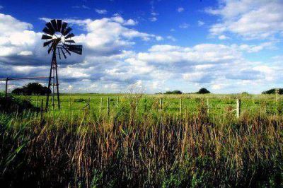 Reclamo ruralista por incrementos en el impuesto rural inmobiliario