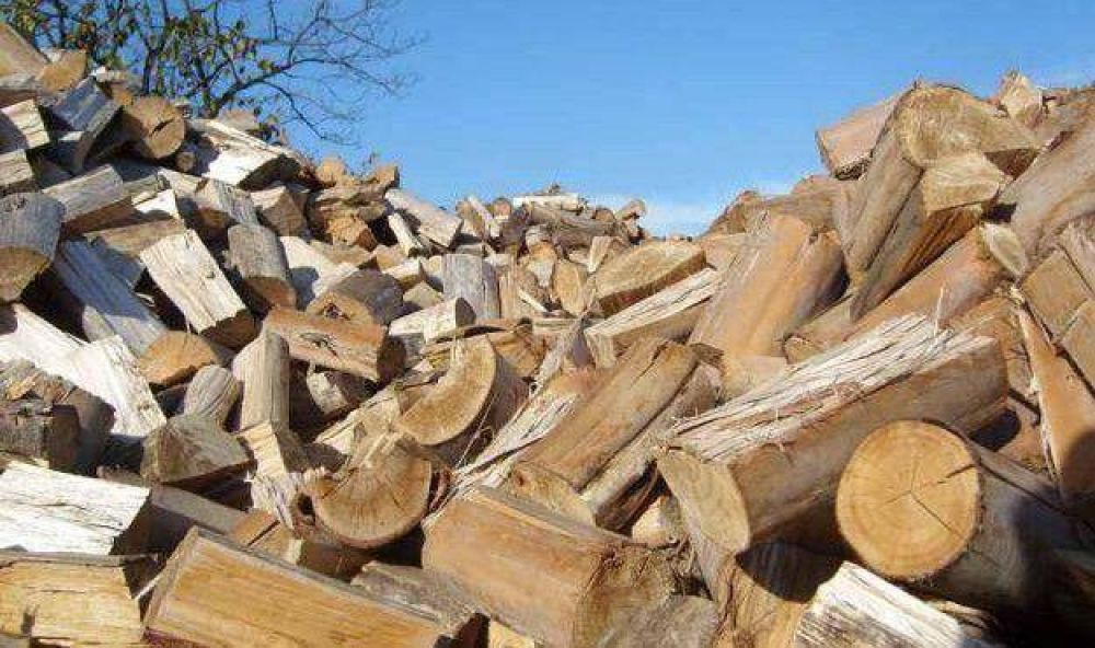 Observan incremento sostenido en la venta de le�a