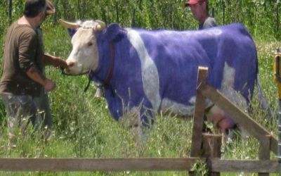 La Fraternidad estar� en la Expo-Rural