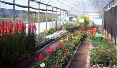 El Gobierno salte�o entreg� insumos para que floricultores mejoren la producci�n