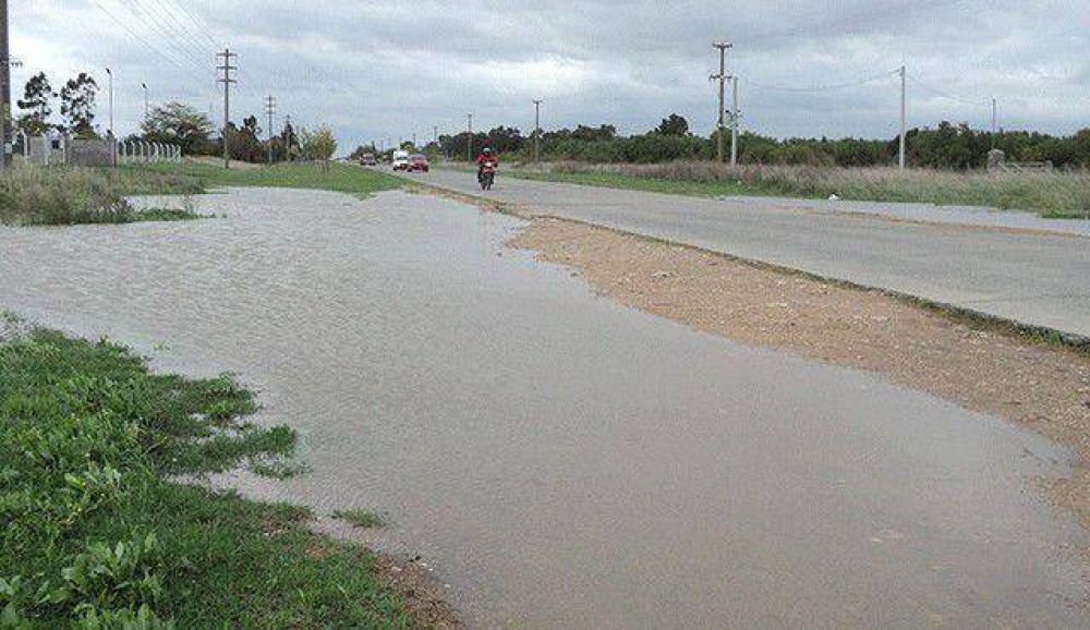 Poggi: el panorama en los campos es �un desastre� 