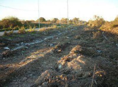 Asamble�stas denuncian que contin�an los desmontes en la Ribera de Bernal