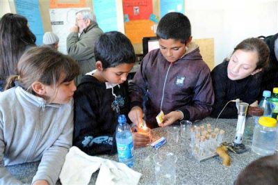 En una muestra escolar en Tolosa la ciencia tambi�n es cosa de chicos