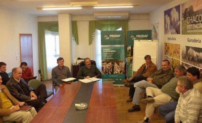 Buscan estrategias para refinanciar deudas hist�ricas que acarrean peque�os y medianos productores