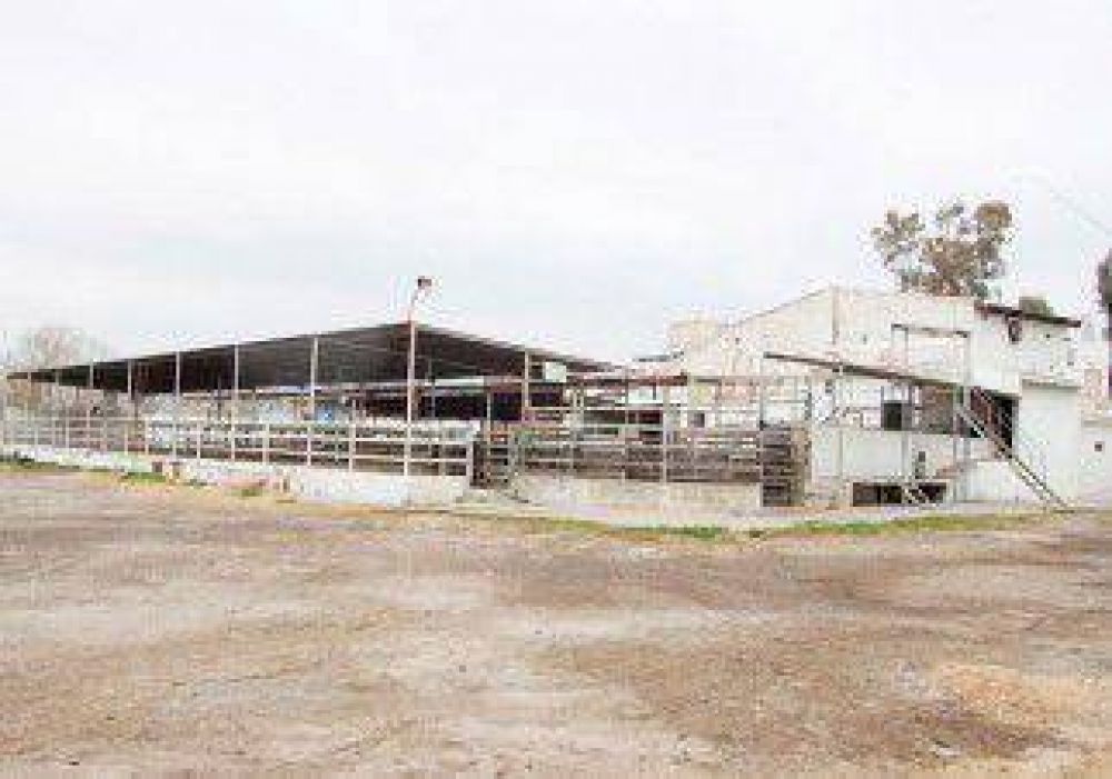 Concejales quieren ceder el matadero por otros 10 a�os 
