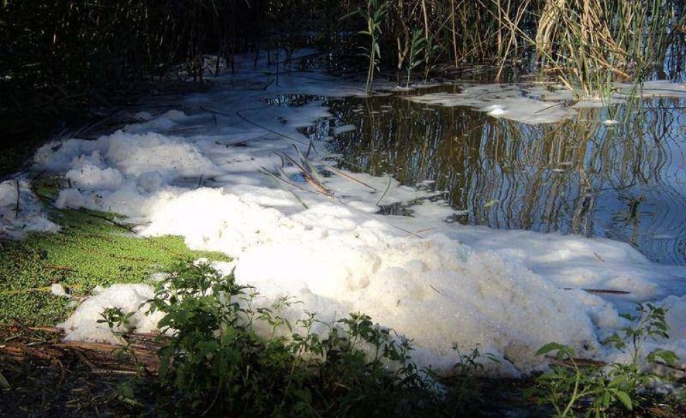 Advierten que la Laguna de los Padres estar�a contaminada por agroqu�micos