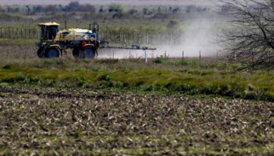 Revelan riesgos por cercan�a a pesticidas