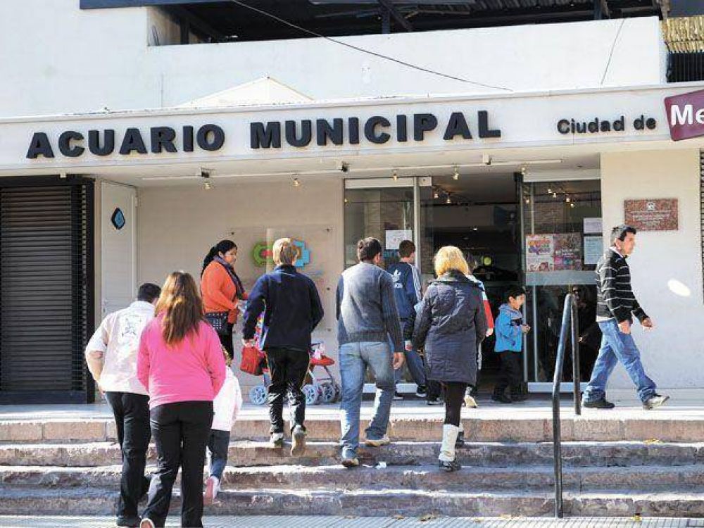 Esperan que repunte en una semana el turismo invernal en Mendoza