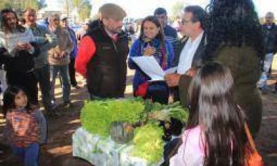 Capital. Impulsan la venta de un bols�n de verduras frescas a $45