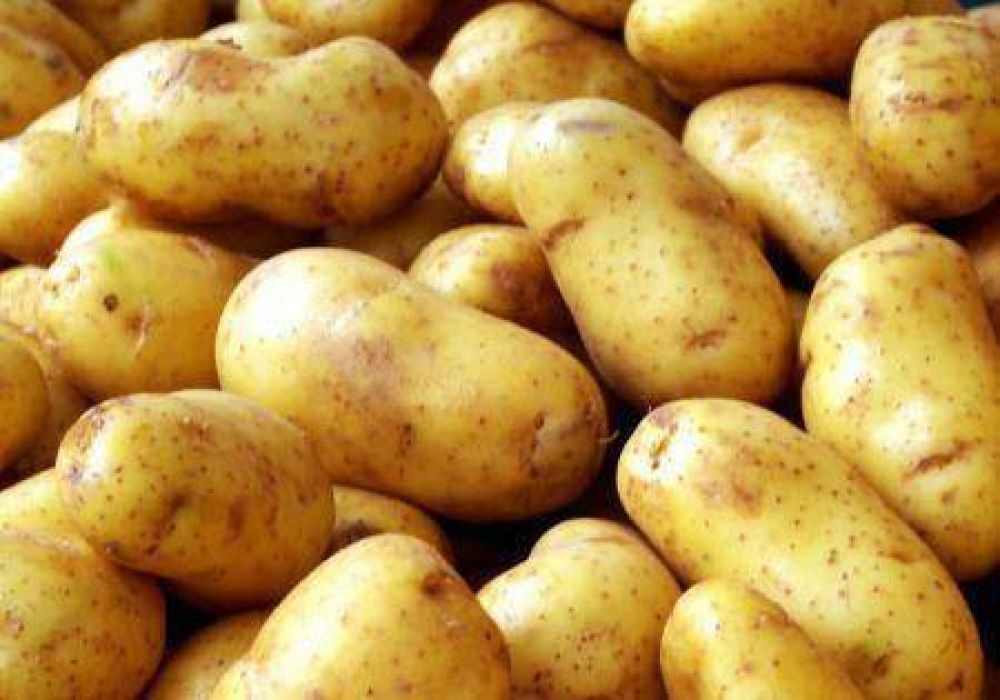 Ushuaia tendr� su quinta feria de frutas y verduras