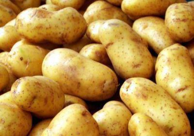 Ushuaia tendr� su quinta feria de frutas y verduras