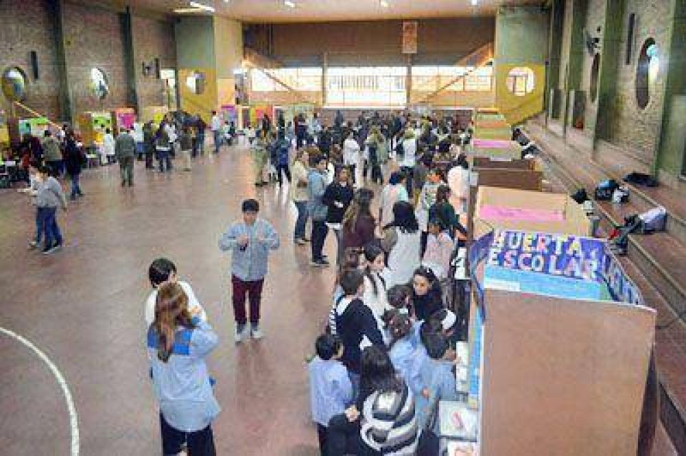 Feria Distrital de Ciencia y Tecnolog�a