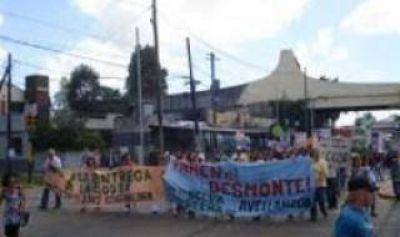 Bernal: Denuncian al Municipio y a Aysa por violar la ley de protecci�n de bosques nativos