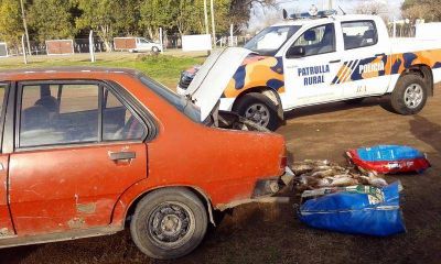 Retuvieron a dos personas por caza furtiva