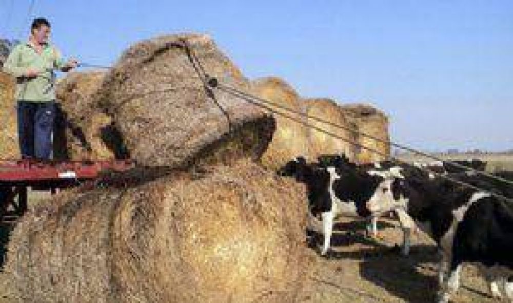C�rdoba: Naci�n asistir� a productores por la sequ�a