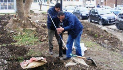 Avanzan las obras de mejoras en la Escuela 5