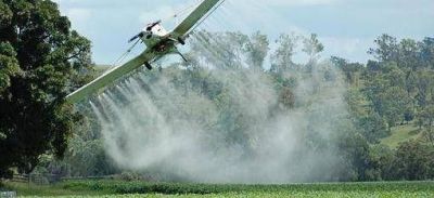 Alertan sobre riesgos para la salud por uso de agroqu�micos
