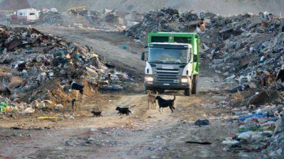 La planta clasificadora procesar� 300.000 kilos de residuos por d�a
