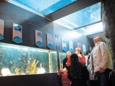 Mendoza gasolera: c�mo descansar y disfrutar con poco dinero