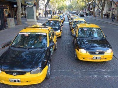 Taxis: en setiembre se vence el plazo para colocar el bl�ndex