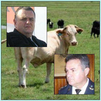 Carossi habl� del robo de las vacas