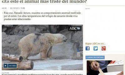 Diarios europeos se preguntan si el oso Arturo es el animal m�s triste del mundo