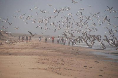 Anticipan �buenas expectativas� para las vacaciones de invierno 