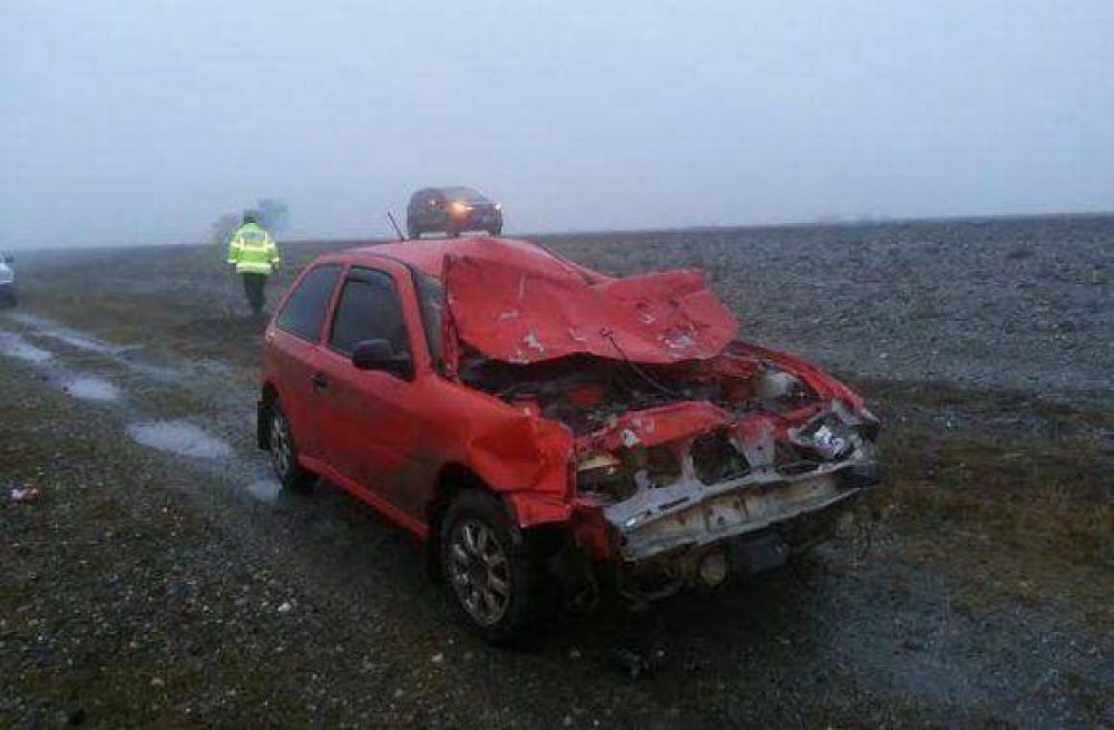 Automovilista embisti� a dos caballos sobre la Ruta 3