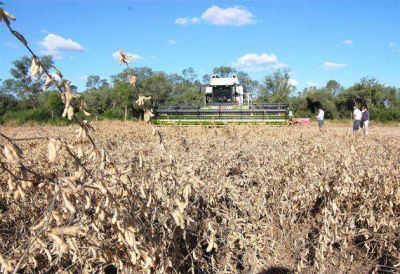 Final de la campa�a sojera 2013-2014: en el Chaco se cosecharon 1.574.000 toneladas