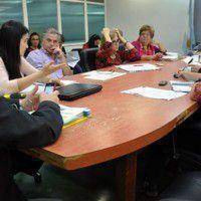 La Comisi�n de Salud escuch� a funcionarias y trabajadoras sobre la situaci�n de la L�nea 137