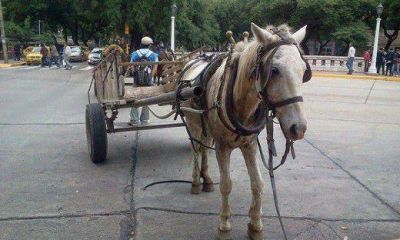 Reuni�n entre municipio capitalino y R�o Cuarto por eliminaci�n de carreros