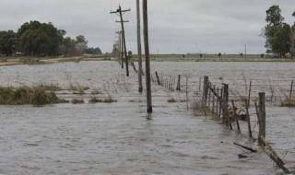 Emergencia y desastre agropecuario para 13 municipios