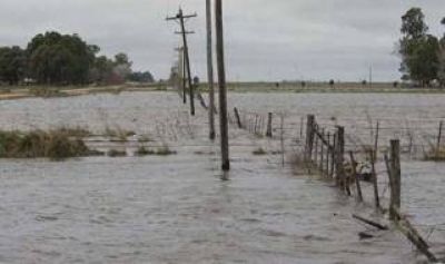Emergencia y desastre agropecuario para 13 municipios