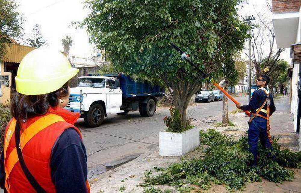 El Municipio ya realiz� casi 4 mil trabajos de poda en distintos barrios