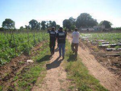  Detectaron trabajo agrario no registrado en un campo de producci�n ganadera de El Morro