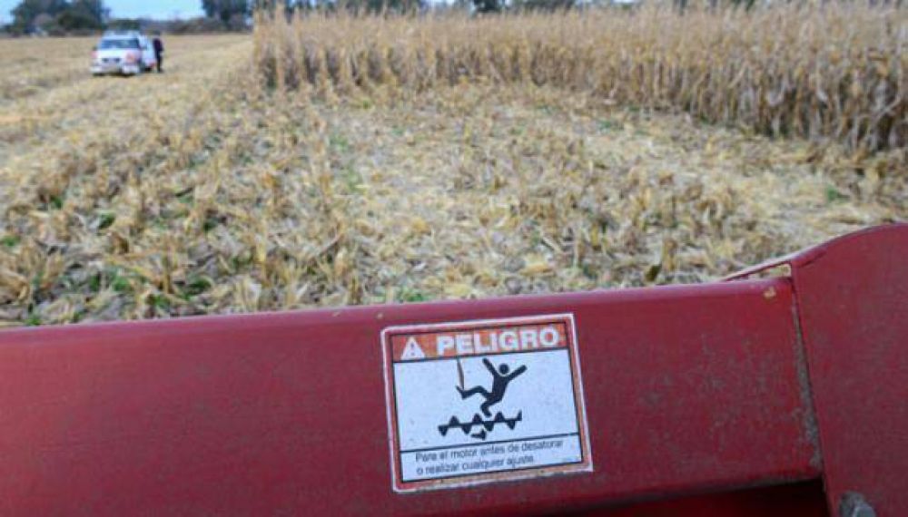 Al levantar la cosecha, hallaron el cad�ver del doble femicida