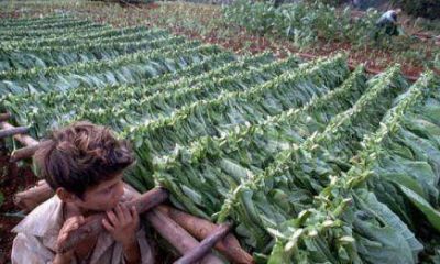 APTM se reuni� con el Ministro del Agro y la Producci�n