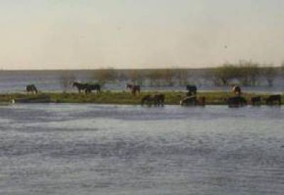 Creciente del Paran�: Baradero evacu� familia de zona de islas luego de que el r�o superara los 2,70 metros