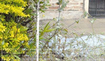 Condenaron a Moreno y a Milla a cumplir 17 y 13 a�os de prisi�n, respectivamente